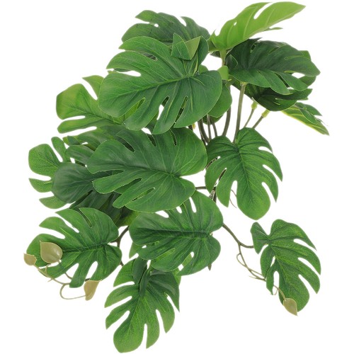 Jungle climber vines sucker - jungle,