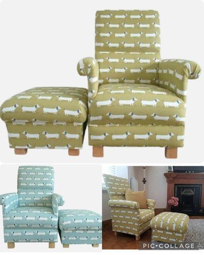 Fryetts hound dog fabric adult - dog,