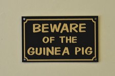 Beware the guinea pig - of,