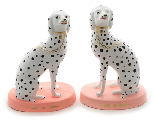 Cody foster staffordshire - cody,