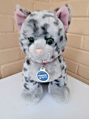 Build bear workshop - workshop, promise