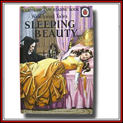 Ladybird book sleeping - ladybird,