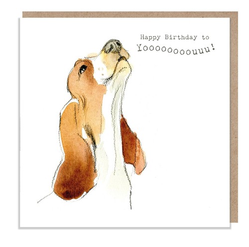 Birthday card basset hound - card,,