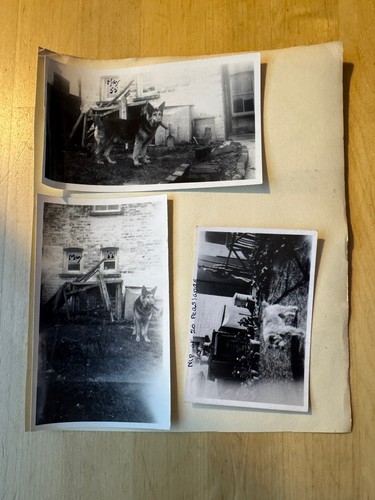 Photo photographs sidmouth - photo, 5