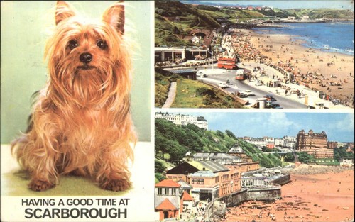 Vintage 1976 scarborough - 1976,