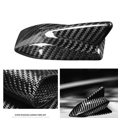 Carbon fiber shark - fiber, fin