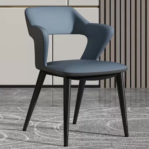 Luxury modern dining chairs - modern,
