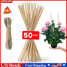 50PCS Plant Stakes,Natural