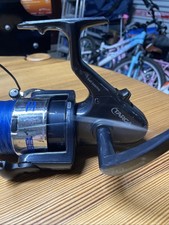 Shakespeare Targa Large