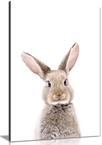 Baby rabbit canvas print - baby,