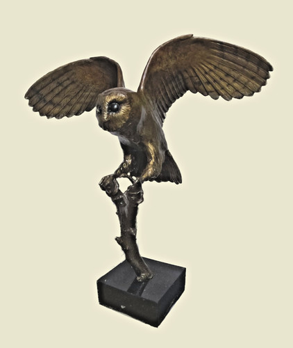 Silent flight bronze - flight", –