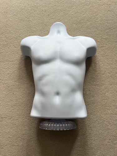 Male torso mannequin display - mannequin,