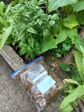  HORSE MANURE (FRESH)  EASY USE - FERTILISER 1litres