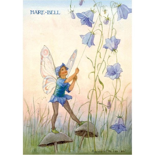 Tarrant harebell fairy - m,
