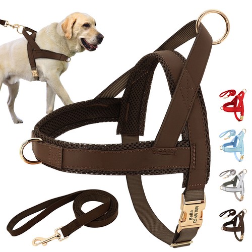 Personalised dog harness and - personalised,