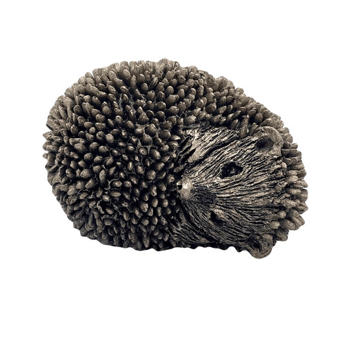 Baby hedgehog dizzy - dizzy, frith