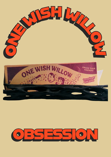 Obsession one wish willow - one,