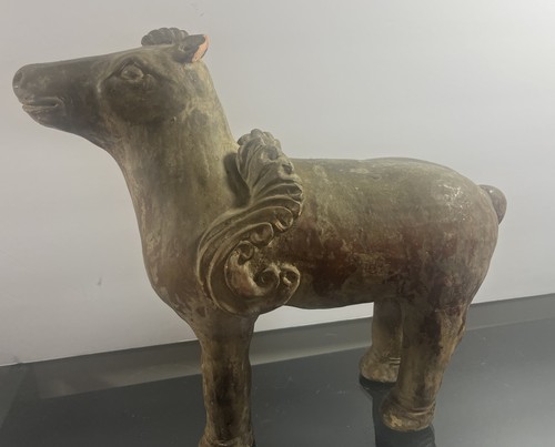 Antique chinese tang - antique,