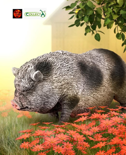 Pot bellied pig - farm, toy