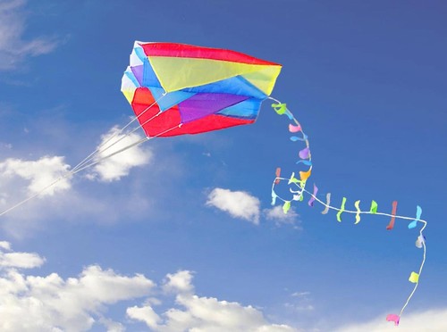 Easy fly parafoil - fly,