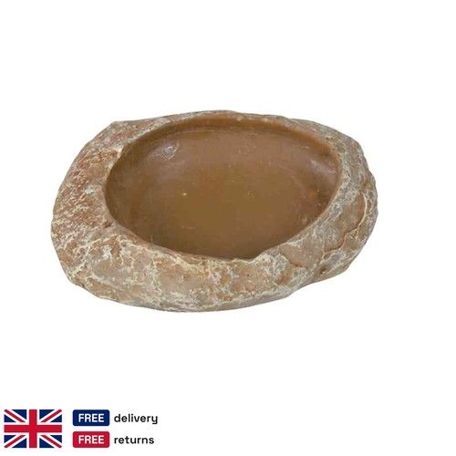Reptile terrarium rock water - reptile,