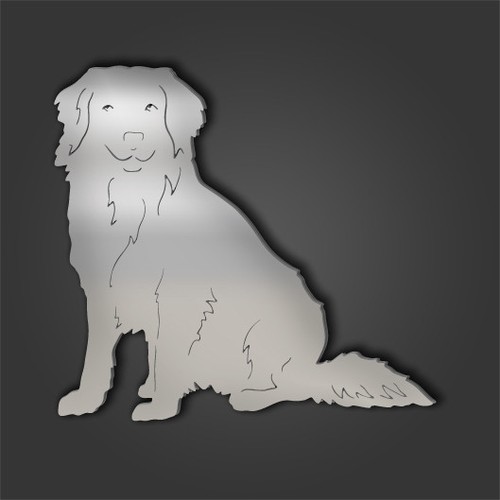 Duck tolling retriever style - duck,