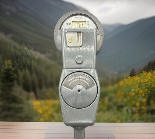 Vintage duncan parking meter - duncan,