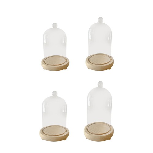 Cloche glass dome display bell - cloche,