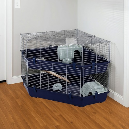 Rabbit guinea pig - rabbit,