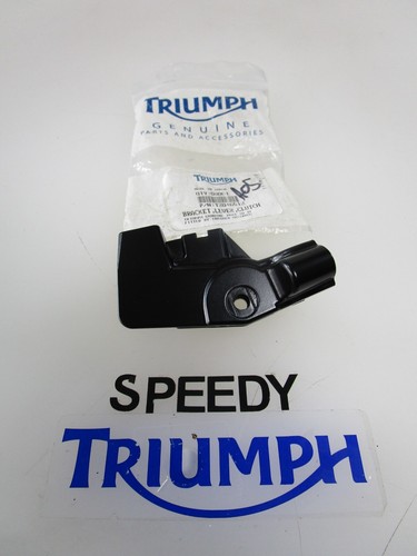 Triumph daytona 675 - 675,