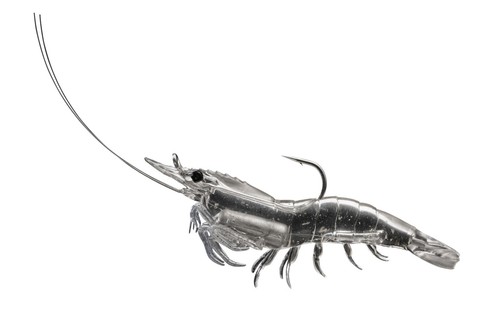 Live target saltwater - target,
