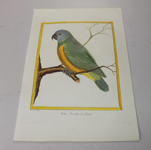 C1770 antique color - color, by