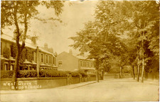 West Grove Brooklands