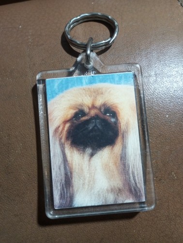 Pekinese dog pet - pekinese,