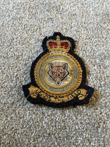 Raf squadron cloth - 12,