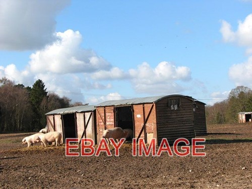 Photo new use for - ,