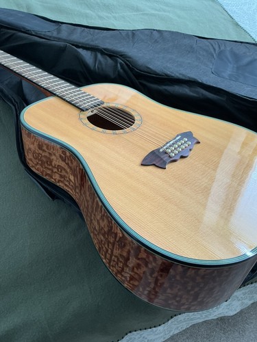 Washburn dreadnought acoustic - dreadnought,