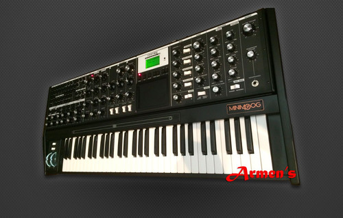 Black color moog - color, xl