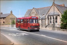 35mm Colour Negative Bowers