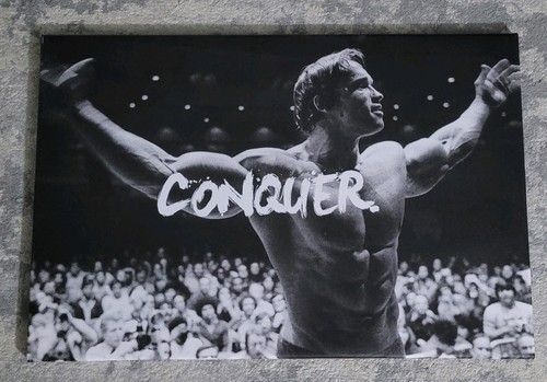 Arnold schwarzenegger conquer - arnold,