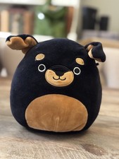 Squishmallows Mateo Rottweiler