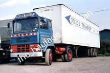 THH Truck Photos - Leyland