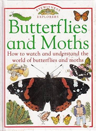 Butterflies and moths - butterflies,