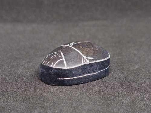 Egyptian scarab beetle - egyptian,