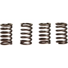 Clutch Springs Reinforced EBC