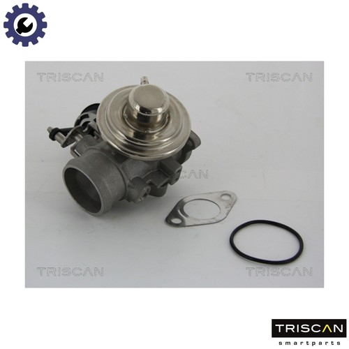 Egr valve 8813 - egr, for