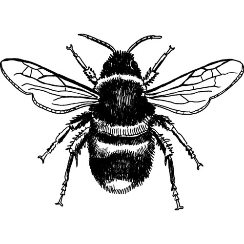 Bee unmounted rubber - unmounted, stamp