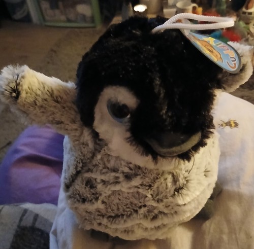 Penguin stuffed toy - penguin,