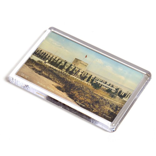 Fridge magnet vintage - fridge,