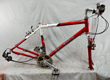 2010 Raleigh Passage 3.0